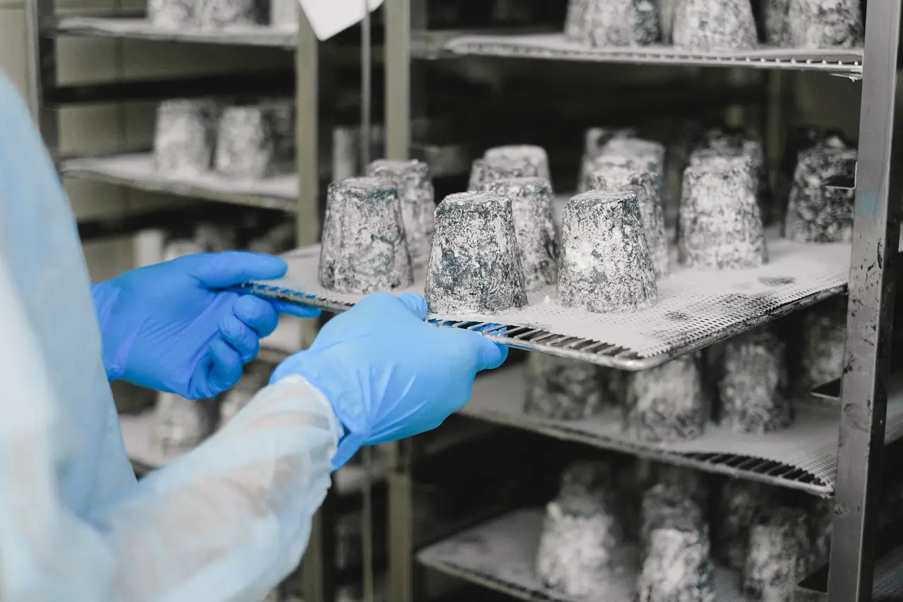 Quality inspection in a food lab
